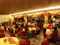 Tn DSC 7230